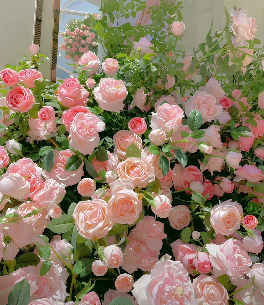 Transform Your Walls into Rose Gardens 🌹 – Premium Climbing Rose Seeds